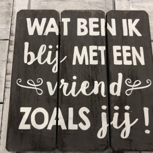 Vriend zoals jij