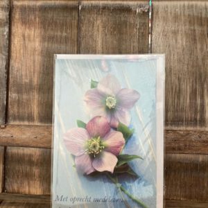 MGP: Met oprechte medeleven in deze moeilijke tijd