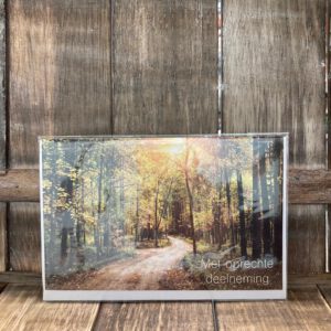 MGP: Met oprechte deelneming