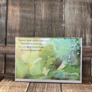 MGP: Met oprechte deelneming