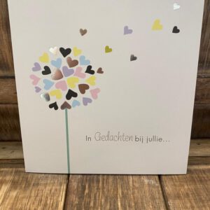 Hallmark: In gedachten bij jullie...